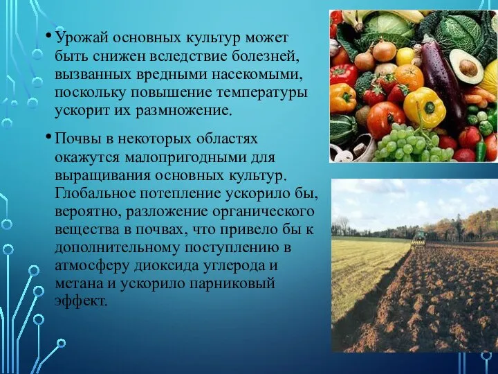 Урожай основных культур может быть снижен вследствие болезней, вызванных вредными насекомыми, поскольку