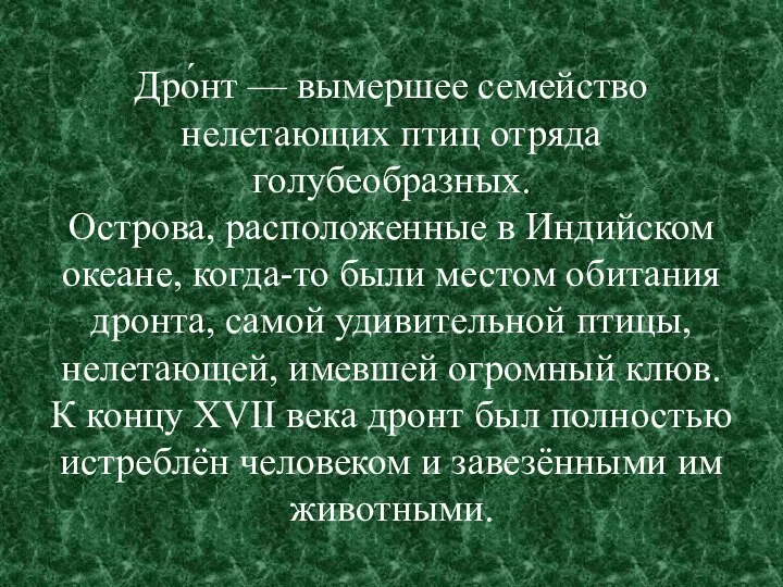 Дро́нт — вымершее семейство нелетающих птиц отряда голубеобразных. Острова, расположенные в Индийском