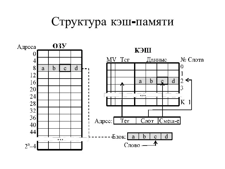 Структура кэш-памяти