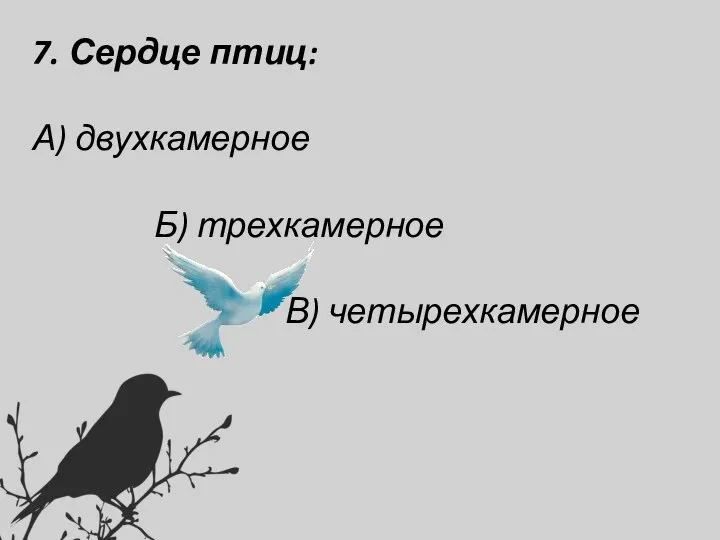 7. Сердце птиц: А) двухкамерное Б) трехкамерное В) четырехкамерное