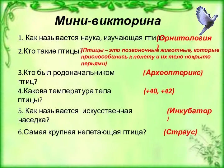 Мини-викторина 1. Как называется наука, изучающая птиц? (Орнитология) 2.Кто такие птицы? (Птицы