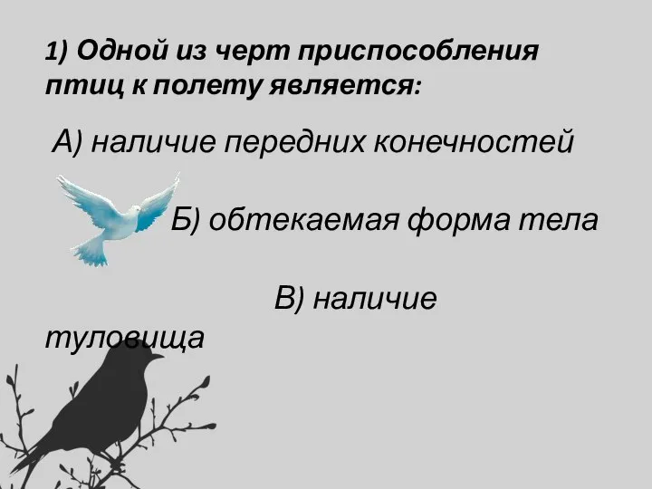 1) Одной из черт приспособления птиц к полету является: А) наличие передних