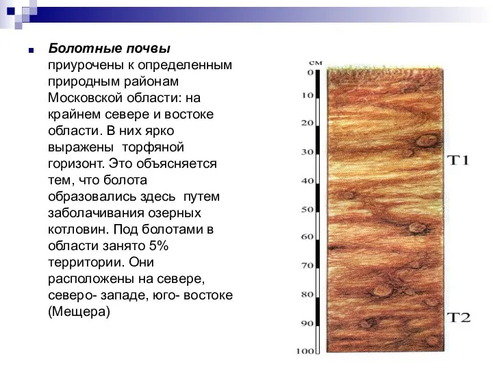 Болотные почвы приурочены к определенным природным районам Московской области: на крайнем севере