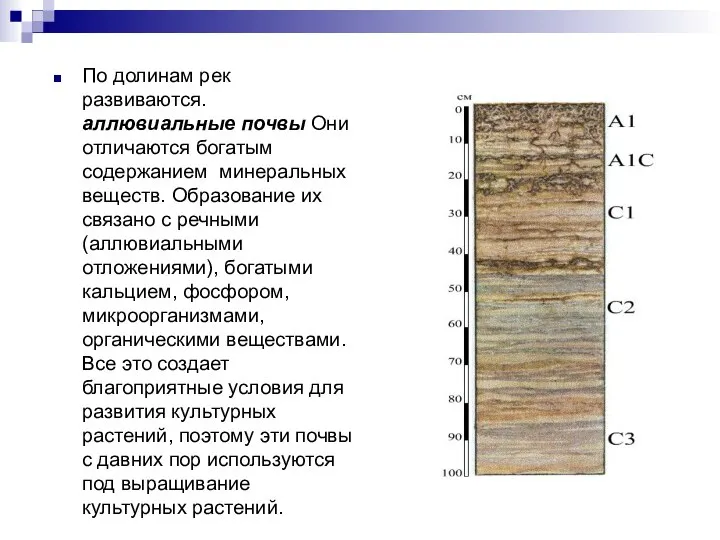 По долинам рек развиваются. аллювиальные почвы Они отличаются богатым содержанием минеральных веществ.