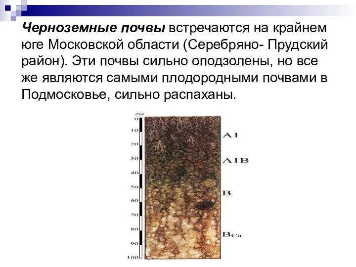 Черноземные почвы встречаются на крайнем юге Московской области (Серебряно- Прудский район). Эти