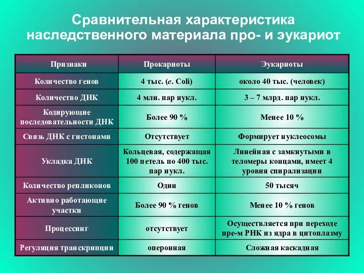 Сравнительная характеристика наследственного материала про- и эукариот