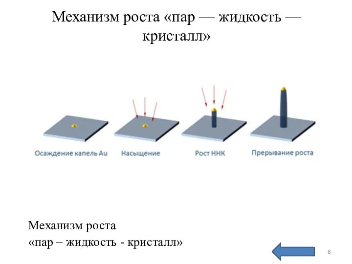 Механизмы роста