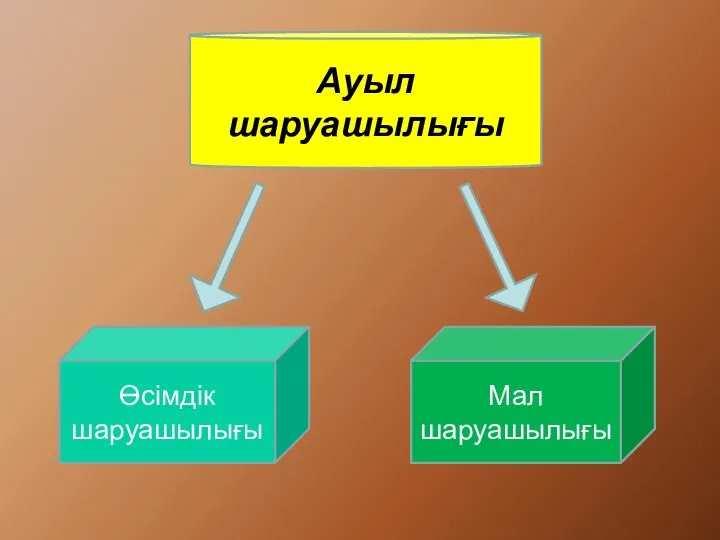 Өсімдік шаруашылығы Мал шаруашылығы Ауыл шаруашылығы