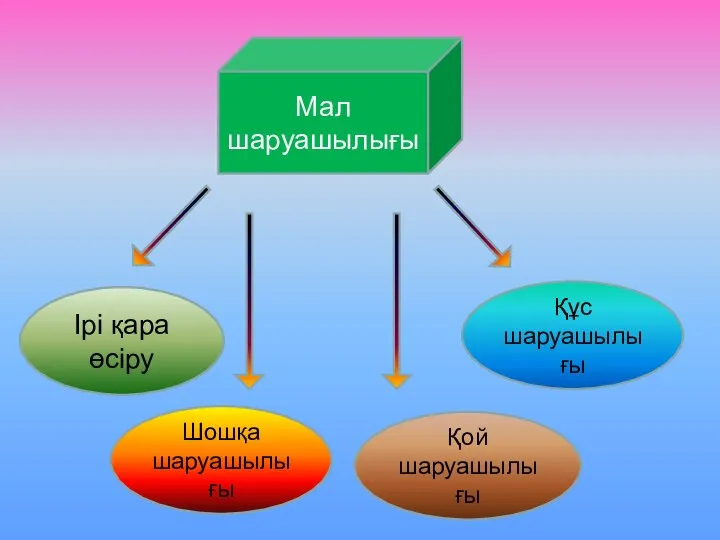 Мал шаруашылығы Ірі қара өсіру Құс шаруашылығы Шошқа шаруашылығы Қой шаруашылығы