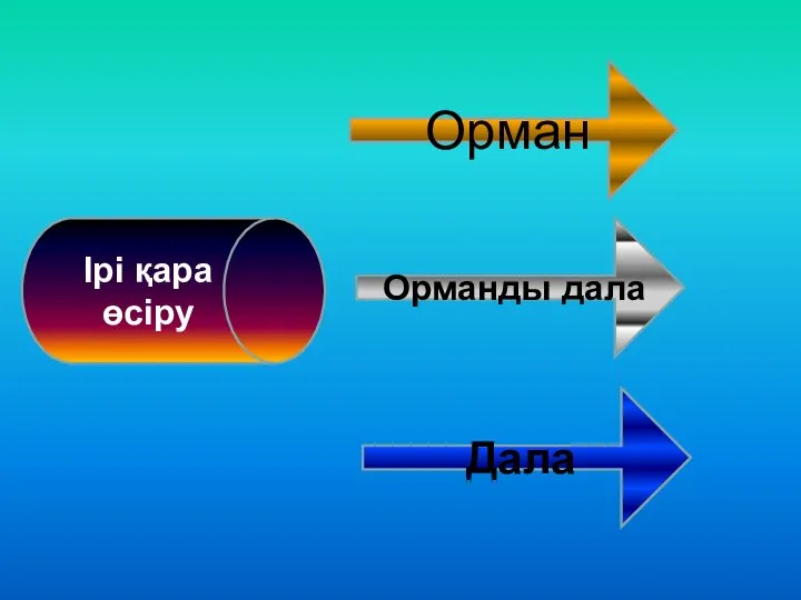 Ірі қара өсіру Орман Дала Орманды дала