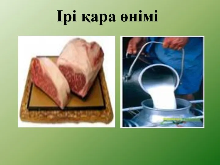 Ірі қара өнімі