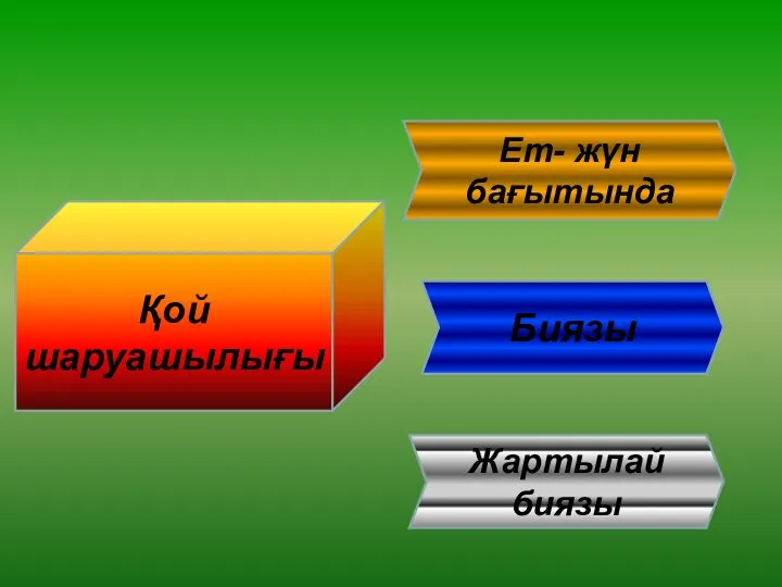 Қой шаруашылығы Ет- жүн бағытында Жартылай биязы Биязы