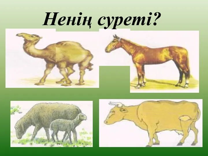 Ненің суреті?