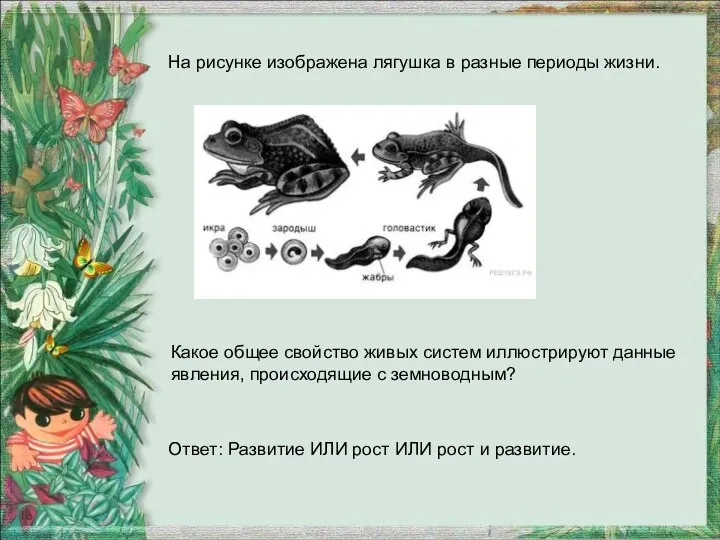 На рисунке изображена лягушка в разные периоды жизни. Какое общее свойство живых