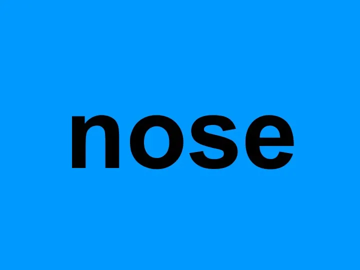 nose