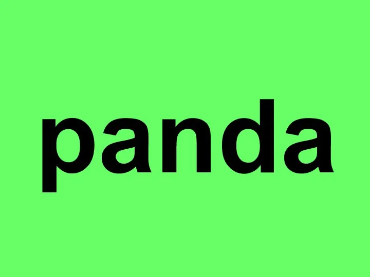 panda