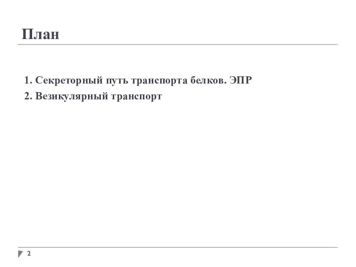 План 1. Секреторный путь транспорта белков. ЭПР 2. Везикулярный транспорт