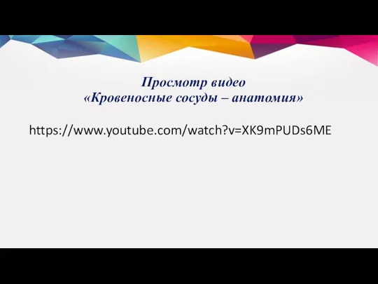 Просмотр видео «Кровеносные сосуды – анатомия» https://www.youtube.com/watch?v=XK9mPUDs6ME