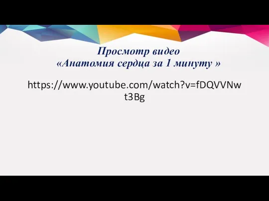 Просмотр видео «Анатомия сердца за 1 минуту » https://www.youtube.com/watch?v=fDQVVNwt3Bg