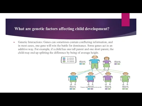 What are genetic factors affecting child development? Genetic Interactions: Genes can sometimes