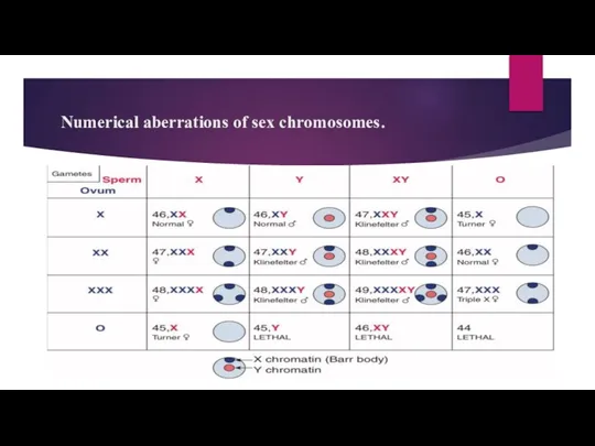 Numerical aberrations of sex chromosomes.