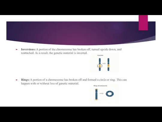 Inversions: A portion of the chromosome has broken off, turned upside down,