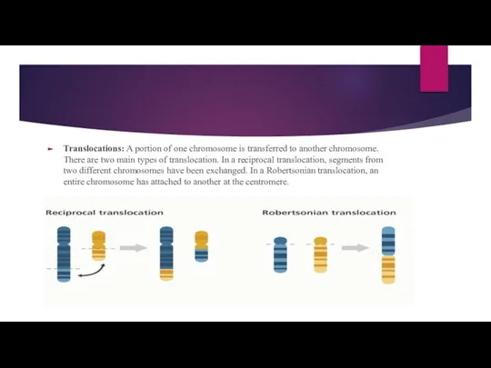 Translocations: A portion of one chromosome is transferred to another chromosome. There