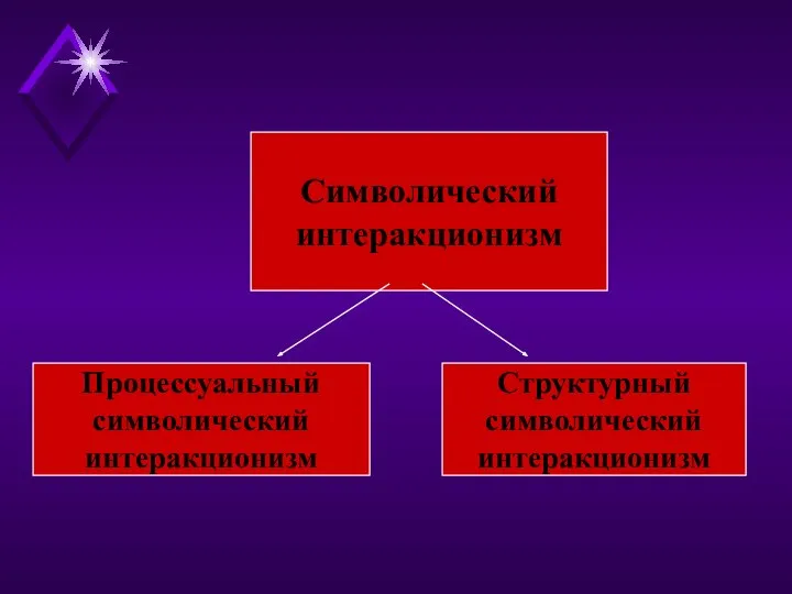 Символический интеракционизм Процессуальный символический интеракционизм Структурный символический интеракционизм