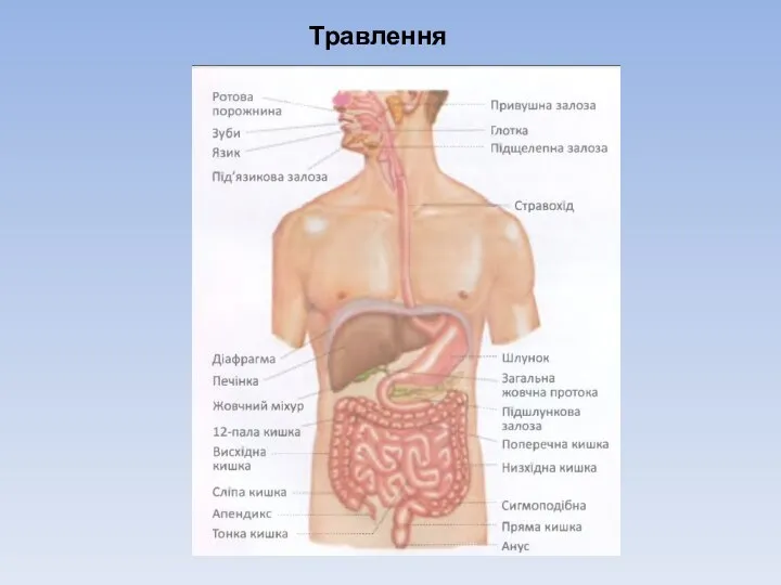 Травлення