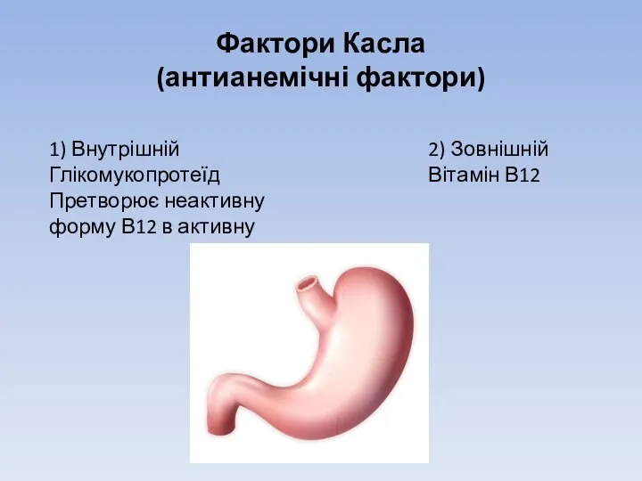 Фактори Касла (антианемічні фактори) 1) Внутрішній Глікомукопротеїд Претворює неактивну форму В12 в