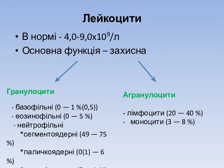 Лейкоцити В нормі - 4,0-9,0x109/л Основна функція – захисна Гранулоцити - базофільні