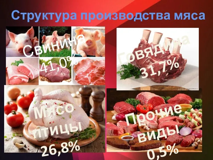 Структура производства мяса Свинина 41,0% Говядина 31,7% Мясо птицы 26,8% Прочие виды 0,5%