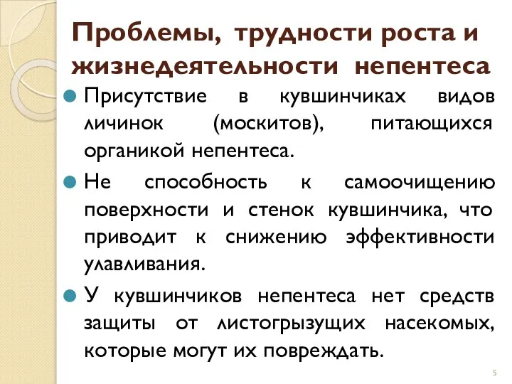 Проблемы, трудности роста и жизнедеятельности непентеса Присутствие в кувшинчиках видов личинок (москитов),