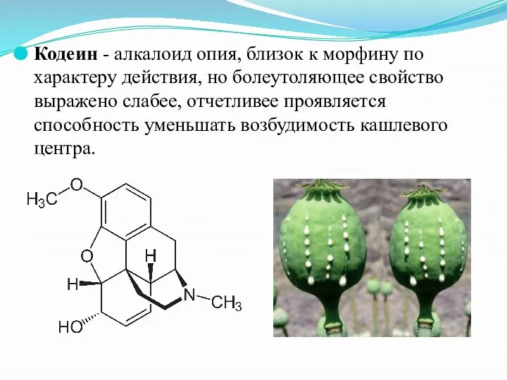 Кодеин - алкалоид опия, близок к морфину по характеру действия, но болеутоляющее