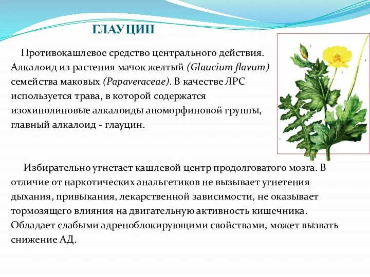 ГЛАУЦИН Противокашлевое средство центрального действия. Алкалоид из растения мачок желтый (Glaucium flavum)