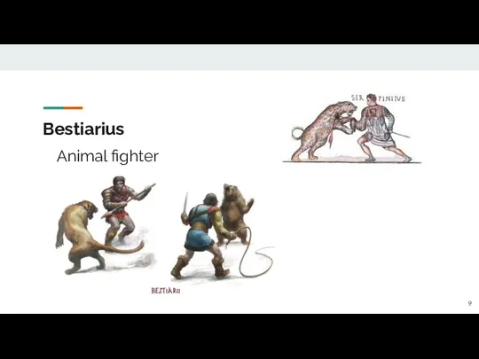 Bestiarius Animal fighter