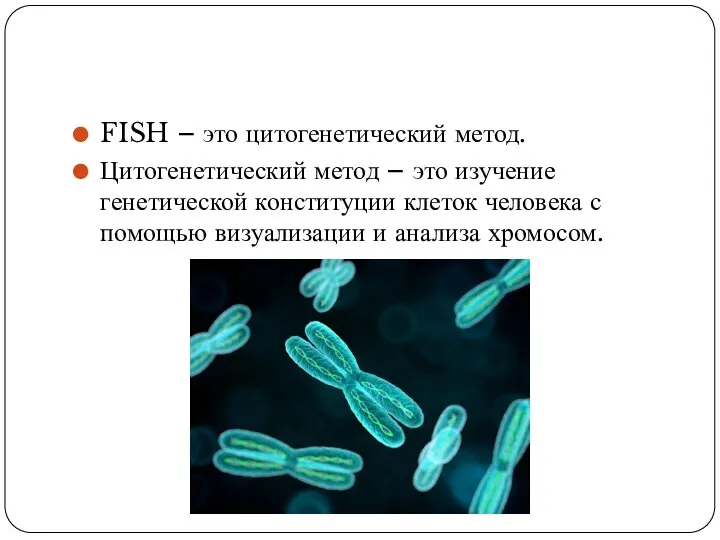 FISH – это цитогенетический метод. Цитогенетический метод – это изучение генетической конституции