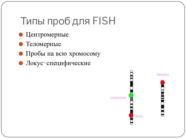 Типы проб для FISH Центромерные Теломерные Пробы на всю хромосому Локус‐специфические