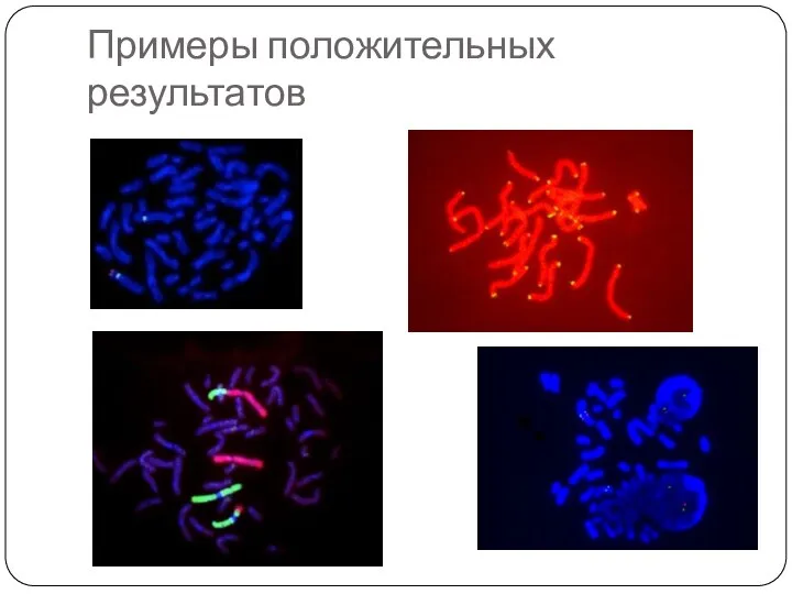 Примеры положительных результатов