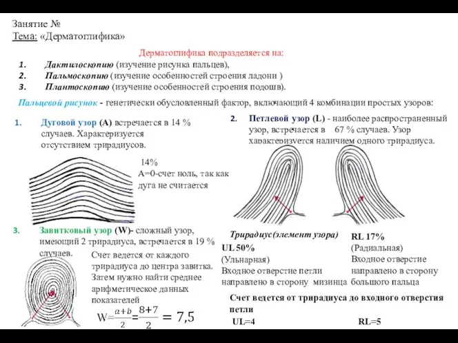 Занятие № Тема: «Дерматоглифика» Дерматоглифика подразделяется на: Дактилоскопию (изучение рисунка пальцев), Пальмоскопию