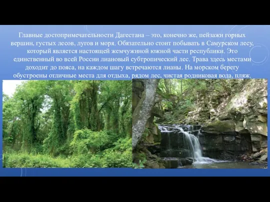 Главные достопримечательности Дагестана – это, конечно же, пейзажи горных вершин, густых лесов,