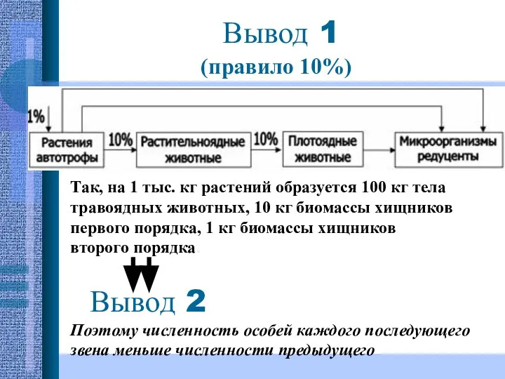 (правило 10%) Вывод 1 Так, на 1 тыс. кг растений образуется 100