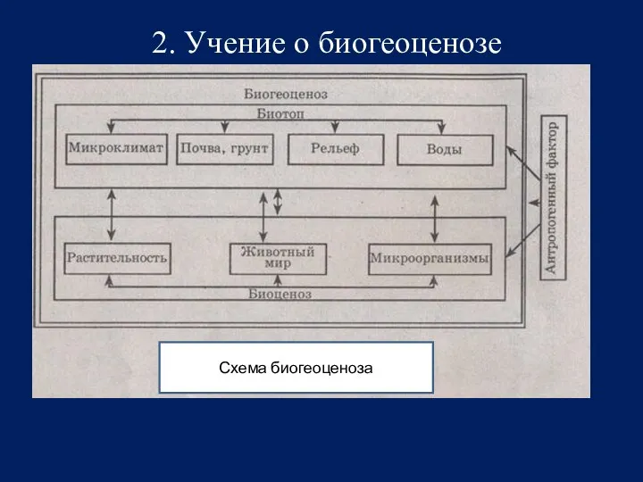 Схема биогеоценоза 2. Учение о биогеоценозе