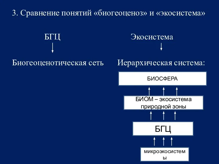 3. Сравнение понятий «биогеоценоз» и «экосистема» БГЦ Экосистема Биогеоценотическая сеть Иерархическая система: