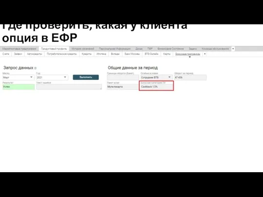 Где проверить, какая у клиента опция в ЕФР