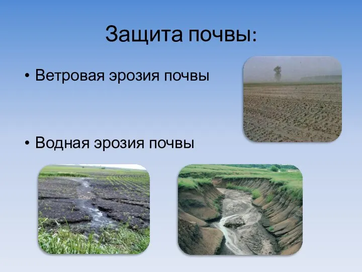 Защита почвы: Ветровая эрозия почвы Водная эрозия почвы
