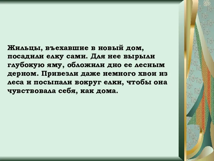 Жильцы, въехавшие в новый дом, посадили елку сами. Для нее вырыли глубокую