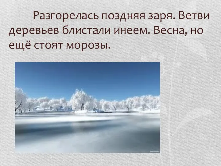 Разгорелась поздняя заря. Ветви деревьев блистали инеем. Весна, но ещё стоят морозы.