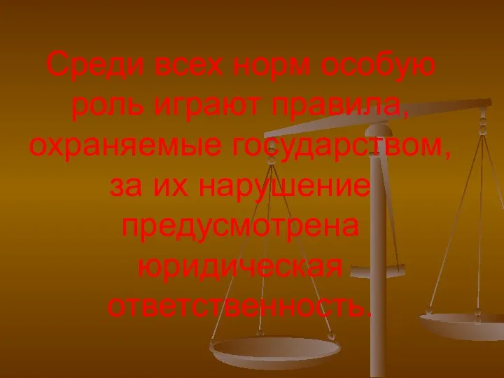 Среди всех норм особую роль играют правила, охраняемые государством, за их нарушение предусмотрена юридическая ответственность.