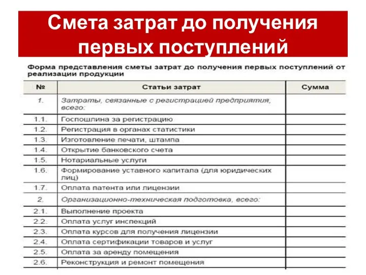 Смета затрат до получения первых поступлений